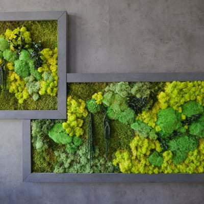 Moss Walls